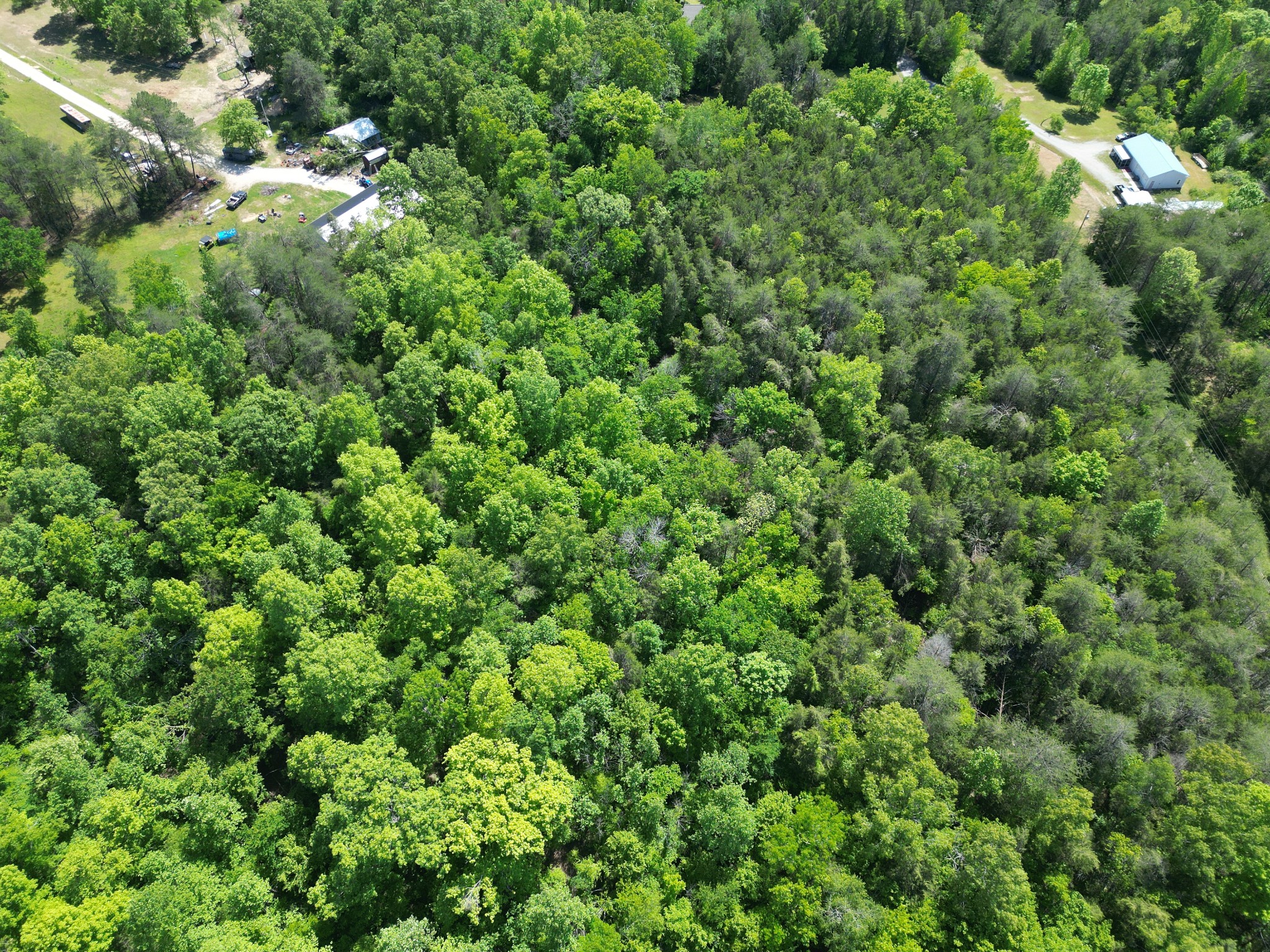 828 McCord Hollow Road Hohenwald, TN 38462 - Photo 23 of 35