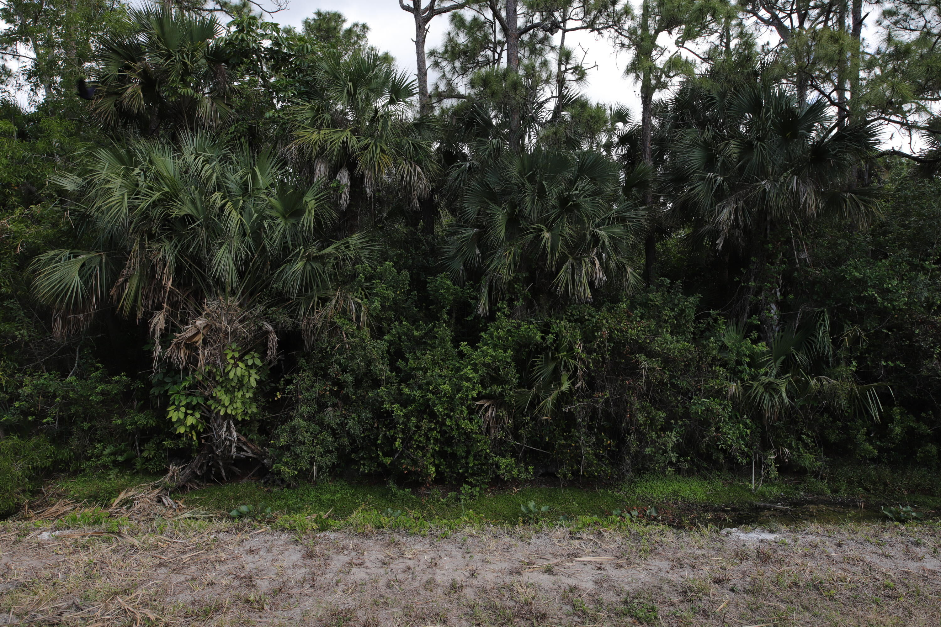 Tbd Sandy Run Road Jupiter, FL 33478 - Photo 8 of 26 Sandy Run