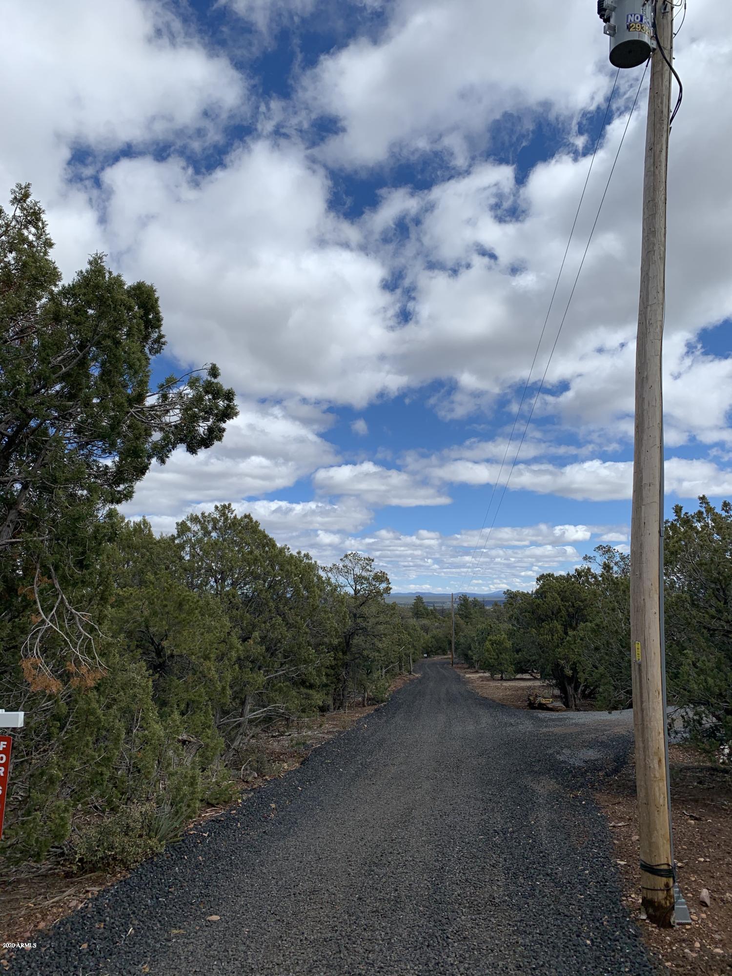 3 East Wilson Road, Unit 3X Show Low, AZ 85901 - Photo 17 of 61 Power at access road
