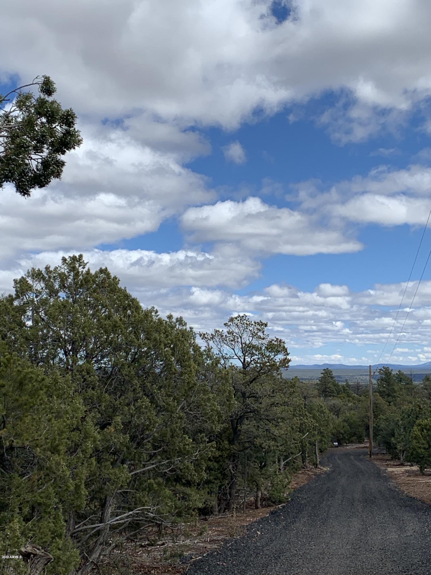 3 East Wilson Road, Unit 3X Show Low, AZ 85901 - Photo 20 of 61 View going down access road
