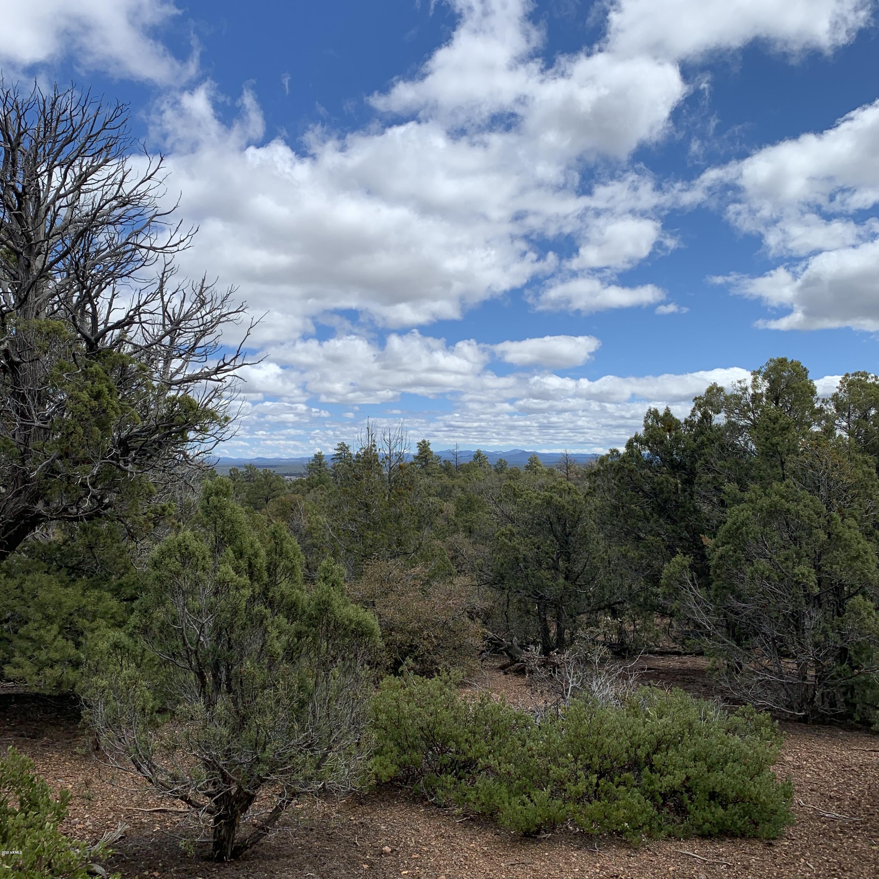 3 East Wilson Road, Unit 3X Show Low, AZ 85901 - Photo 21 of 61 View from interior of property