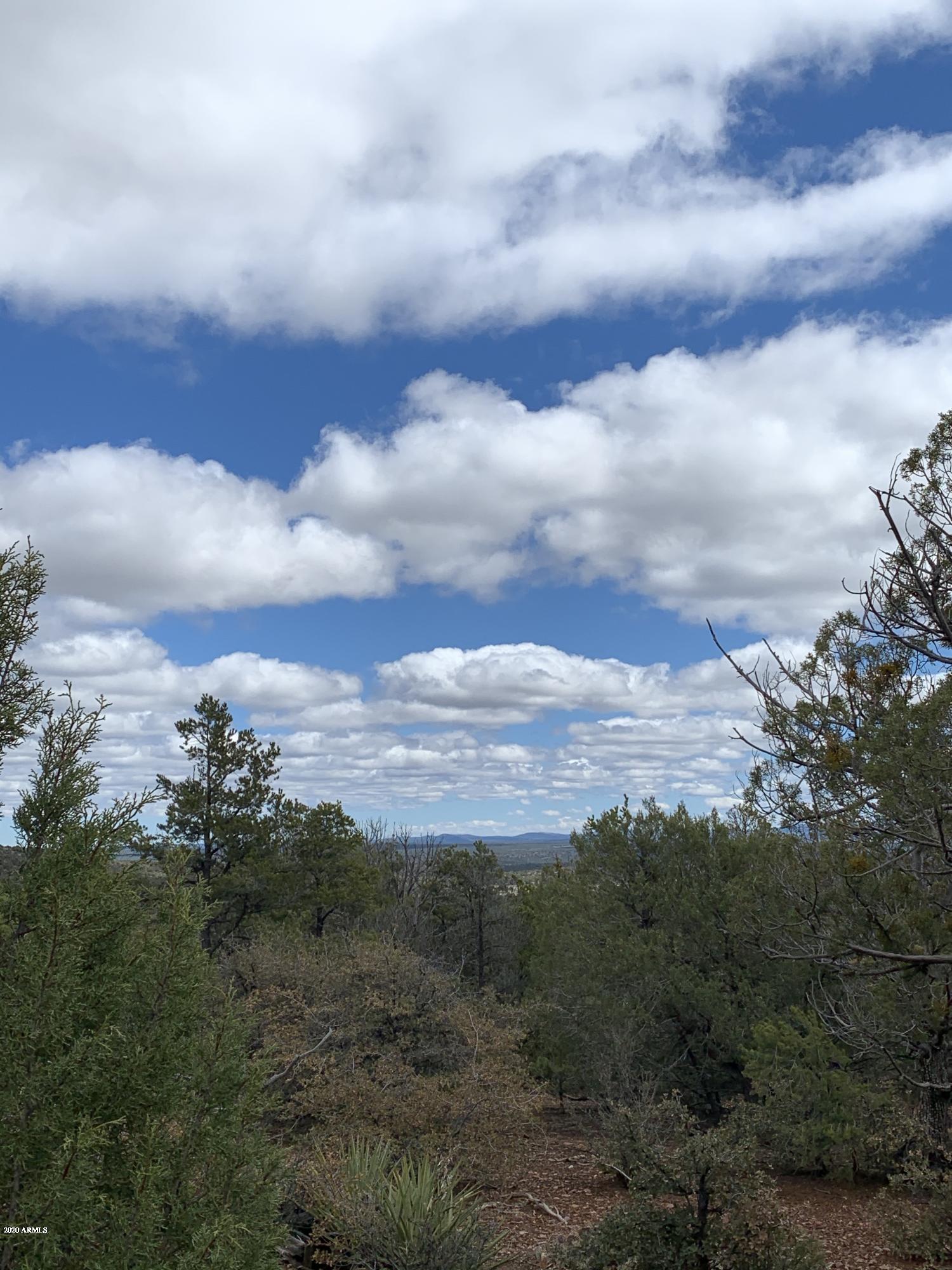 3 East Wilson Road, Unit 3X Show Low, AZ 85901 - Photo 24 of 61 Panoramic view from interior of property