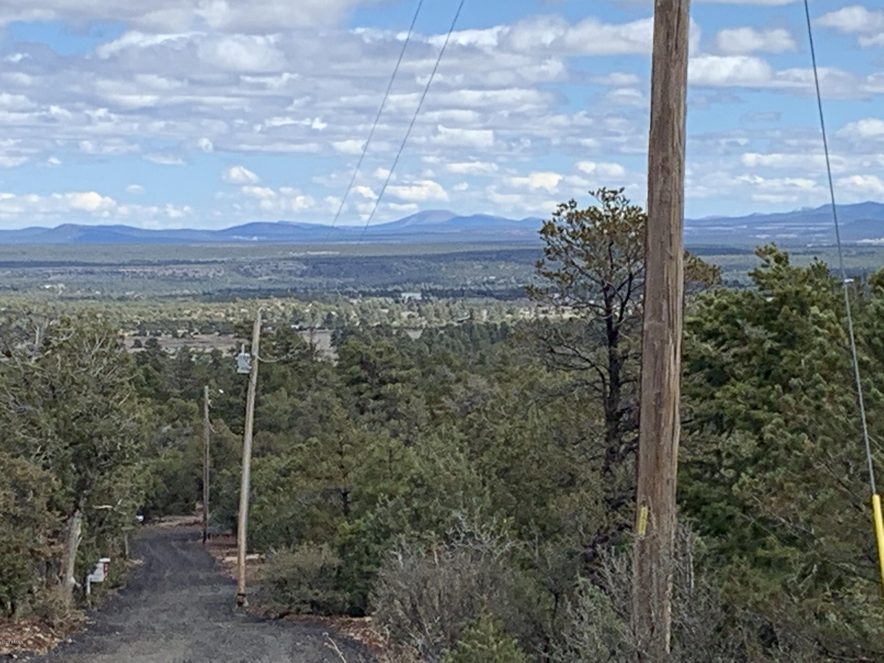 3 East Wilson Road, Unit 3X Show Low, AZ 85901 - Photo 25 of 61 Electric all down access road