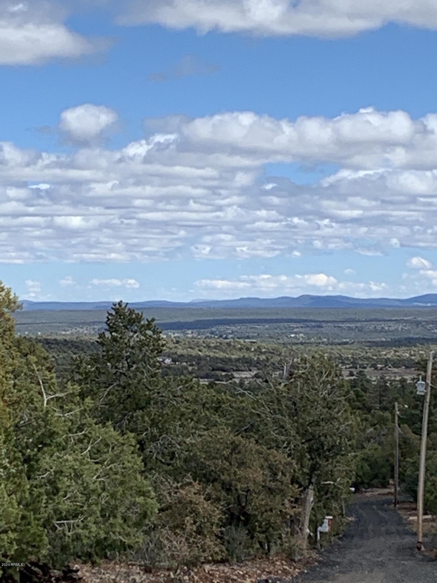 3 East Wilson Road, Unit 3X Show Low, AZ 85901 - Photo 3 of 61 Panoramic views