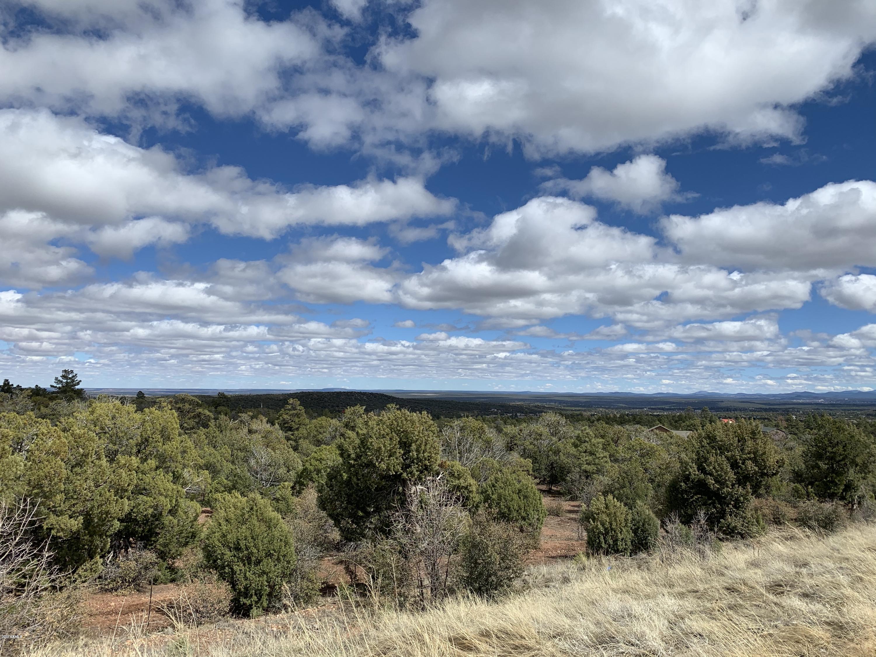 3 East Wilson Road, Unit 3X Show Low, AZ 85901 - Photo 59 of 61 View from Hwy