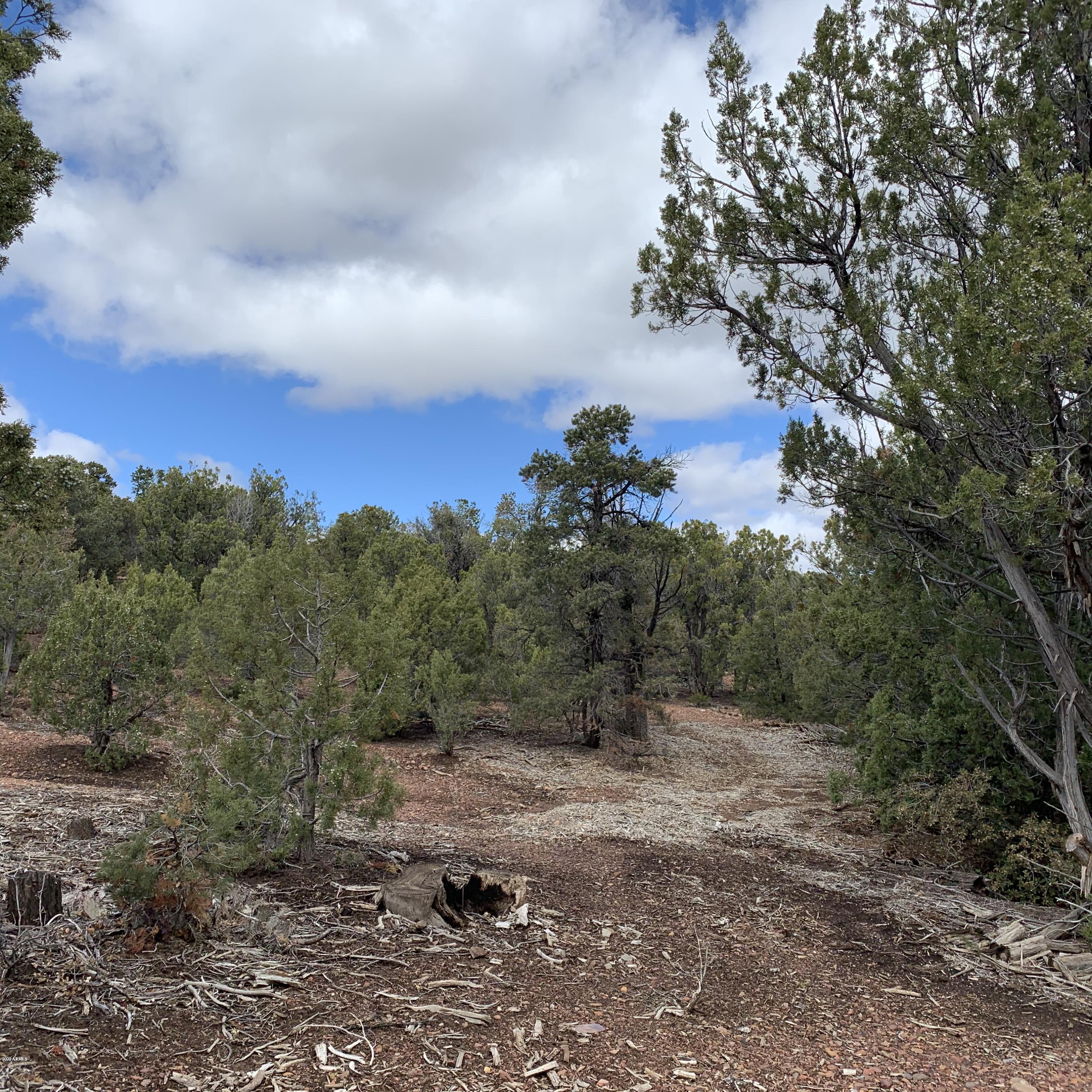 3 East Wilson Road, Unit 3X Show Low, AZ 85901 - Photo 7 of 61 Nice gentle slope
