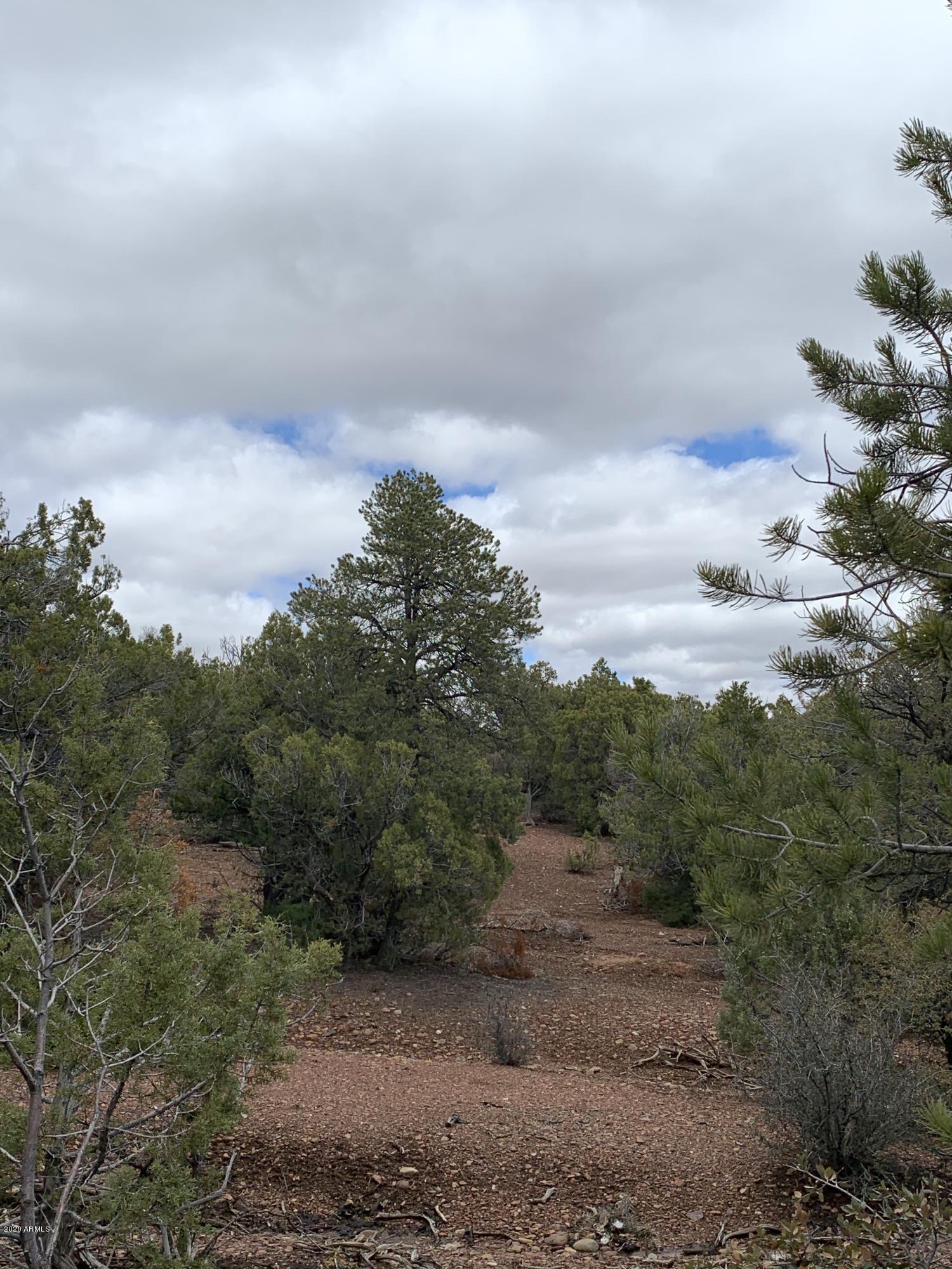 3 East Wilson Road, Unit 3X Show Low, AZ 85901 - Photo 8 of 61 Tall pinion pines