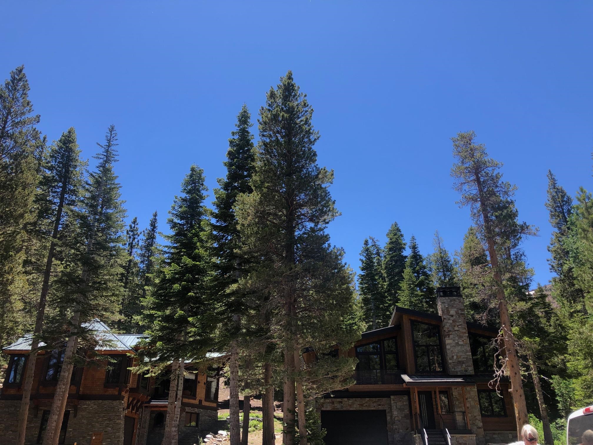 136 Red Fir Road Mammoth Lakes, CA 93546 - Photo 13 of 13 a view of a city with lush green forest