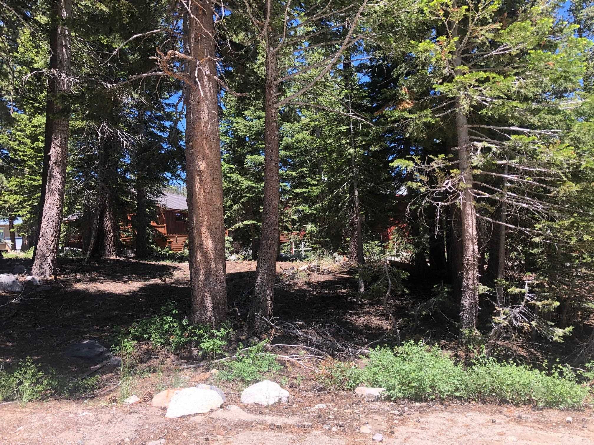 136 Red Fir Road Mammoth Lakes, CA 93546 - Photo 3 of 13 a view of a tree in a yard