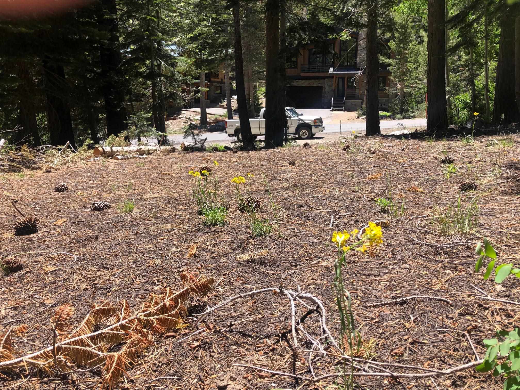 136 Red Fir Road Mammoth Lakes, CA 93546 - Photo 4 of 13 a view of swimming pool with a sitting area