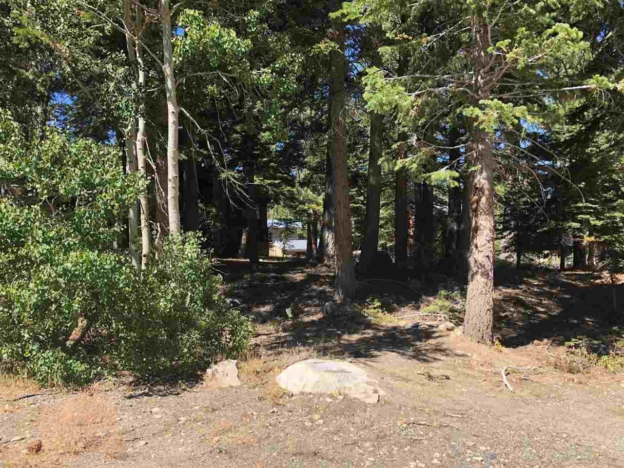 136 Red Fir Road Mammoth Lakes, CA 93546 - Photo 6 of 13 a view of a yard covered in snow