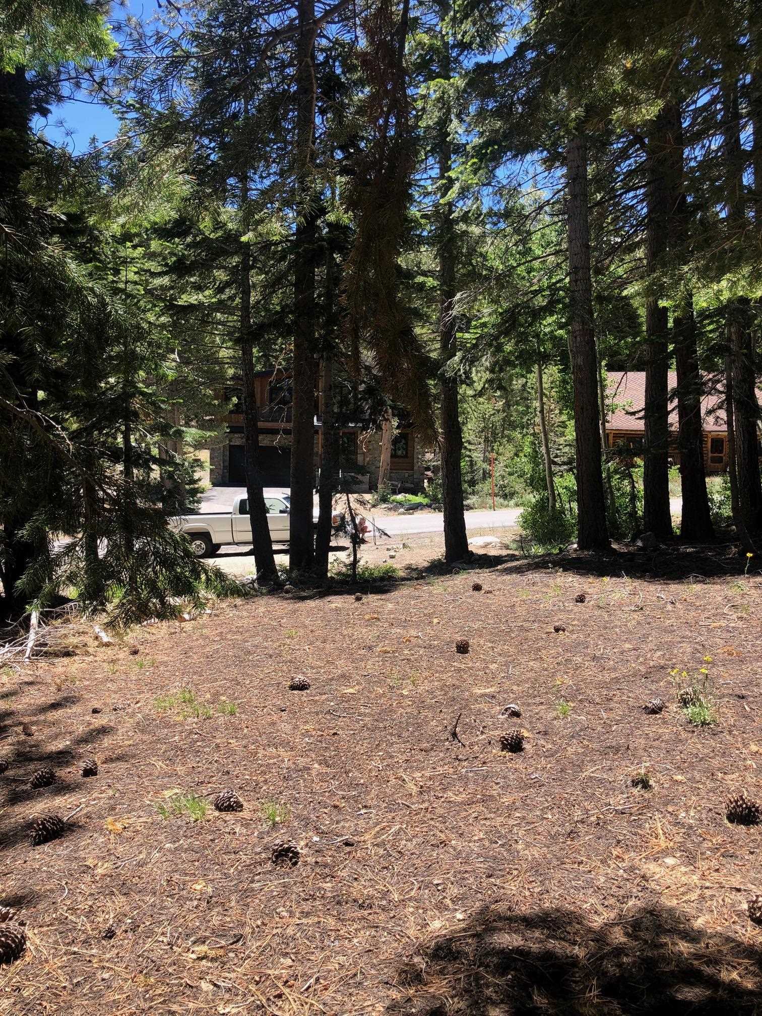 136 Red Fir Road Mammoth Lakes, CA 93546 - Photo 9 of 13 a view of road and trees