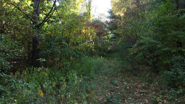 $1,049,000 | 2222 101st Avenue, Otsego, MI 49078