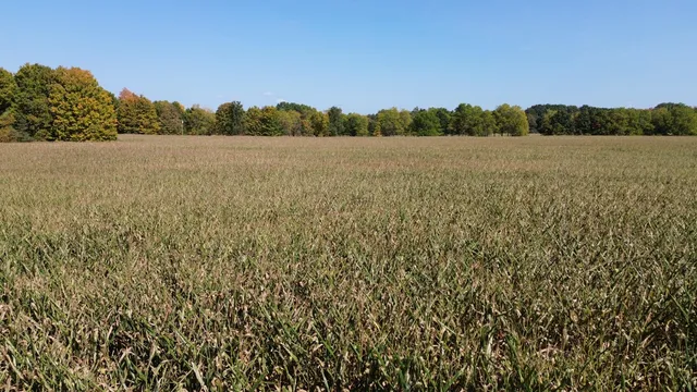 $1,049,000 | 2222 101st Avenue, Otsego, MI 49078