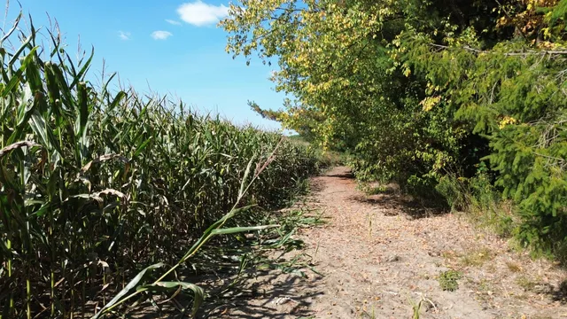 $1,049,000 | 2222 101st Avenue, Otsego, MI 49078