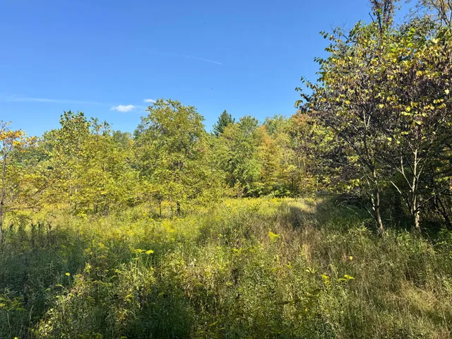 $1,049,000 | 2222 101st Avenue, Otsego, MI 49078