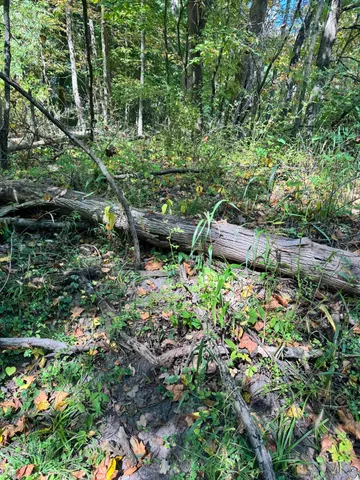 $1,049,000 | 2222 101st Avenue, Otsego, MI 49078