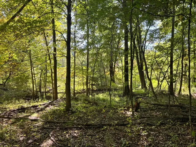 $1,049,000 | 2222 101st Avenue, Otsego, MI 49078