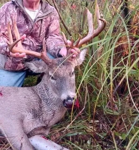 $1,049,000 | 2222 101st Avenue, Otsego, MI 49078