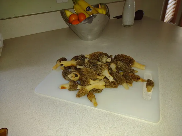 $1,049,000 | 2222 101st Avenue, Otsego, MI 49078