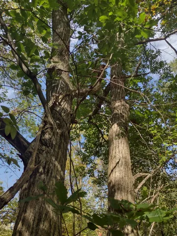 $1,049,000 | 2222 101st Avenue, Otsego, MI 49078