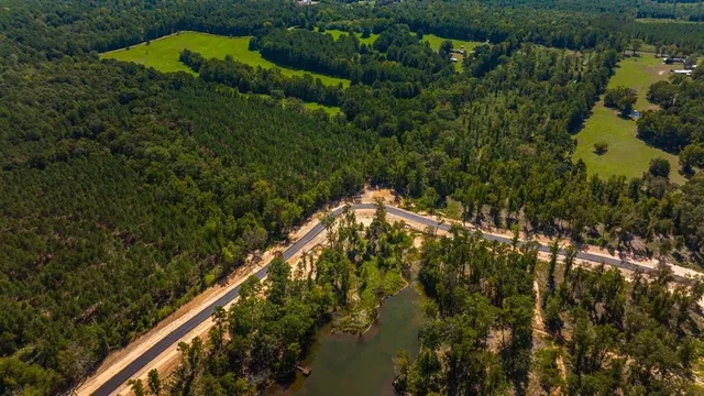 a view of a lake with a trees in the background