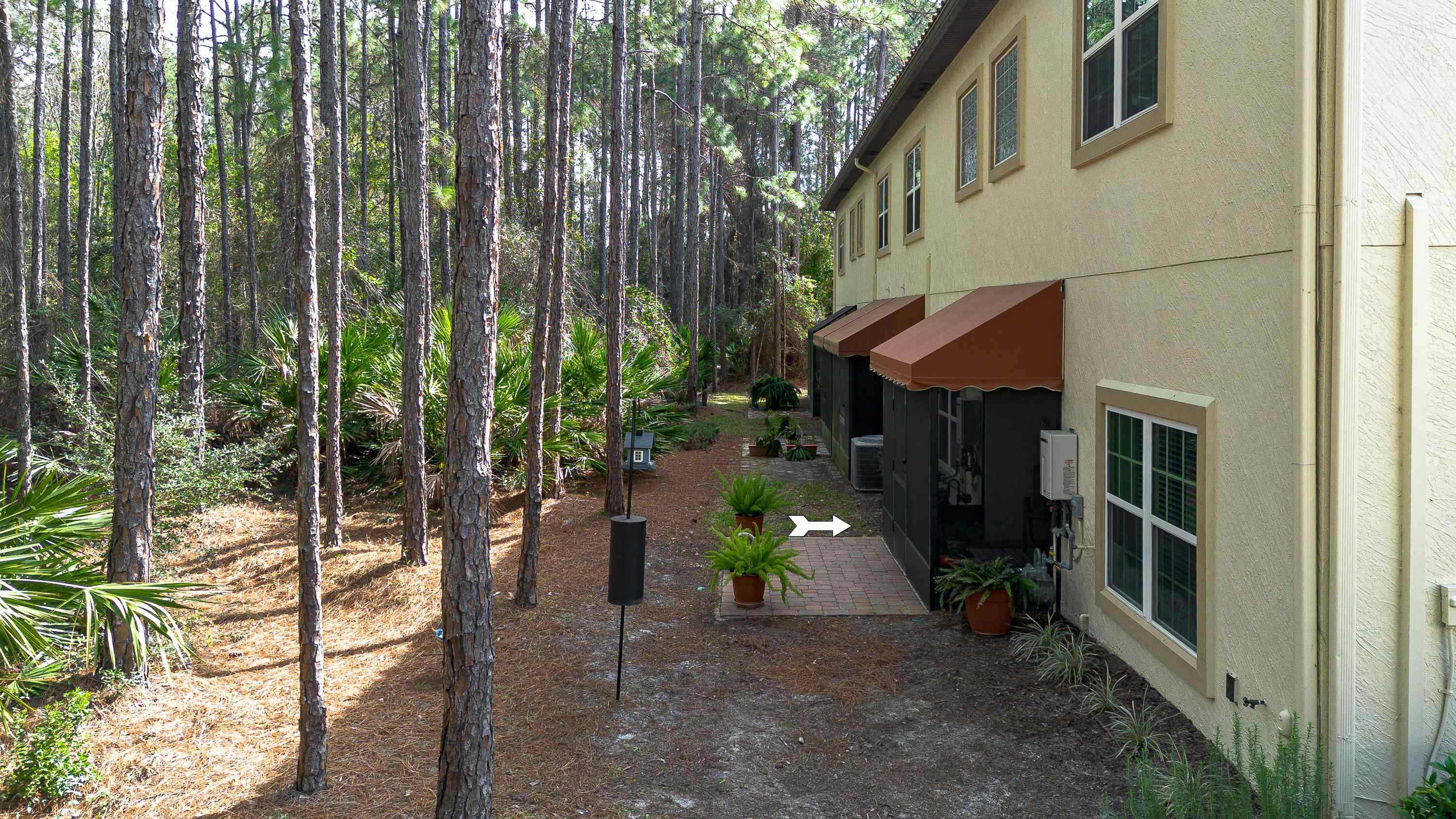 200 Grand Ravine Drive St. Augustine, FL 32086 - Photo 28 of 34 View of yard