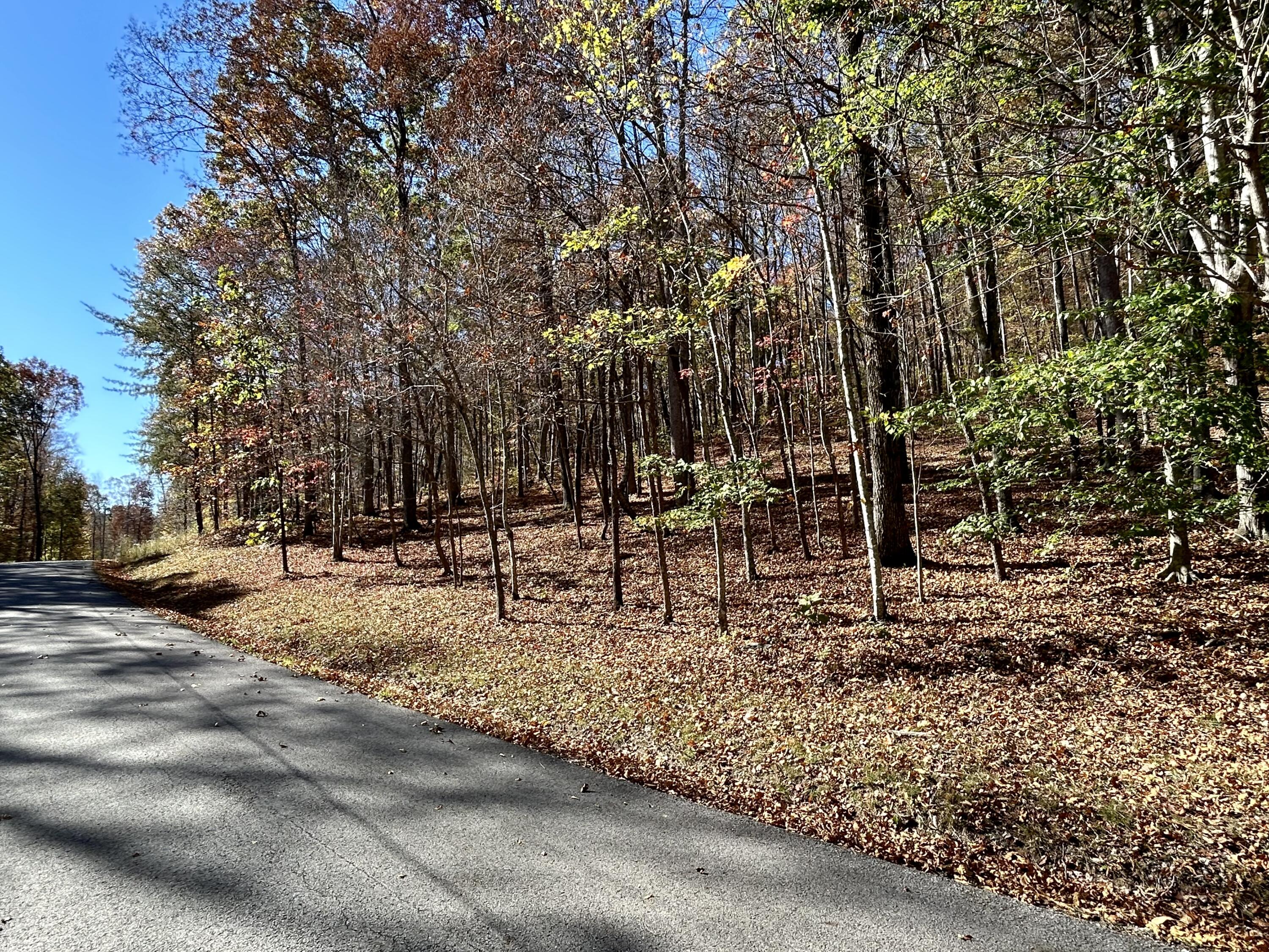 Lot 11 Haynes Knob Road Somerset, KY 42501 - Photo 3 of 6 IMG_6924