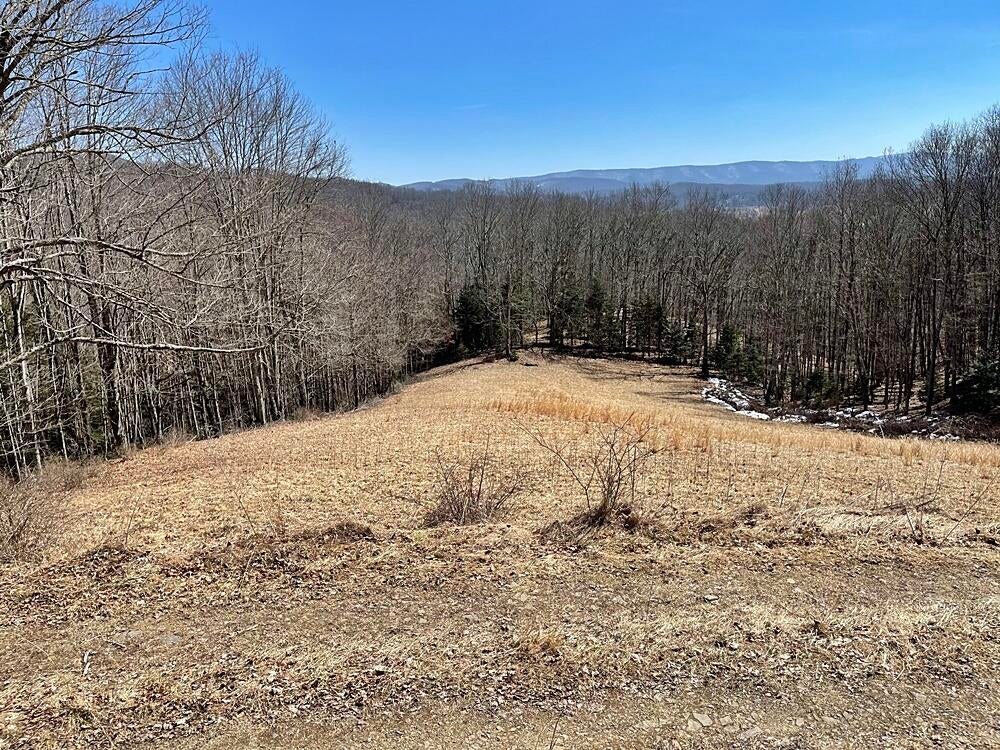 835 Greathouse Road Bartow, WV 24920 - Photo 33 of 34 Gallery Image 33