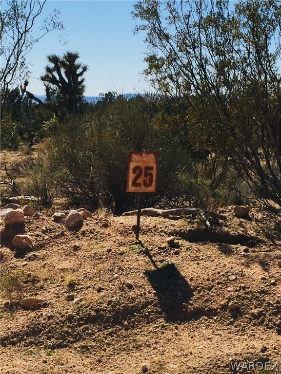 25 South Alamo Road Yucca, AZ 86438 - Photo 2 of 21 Gallery Image 2