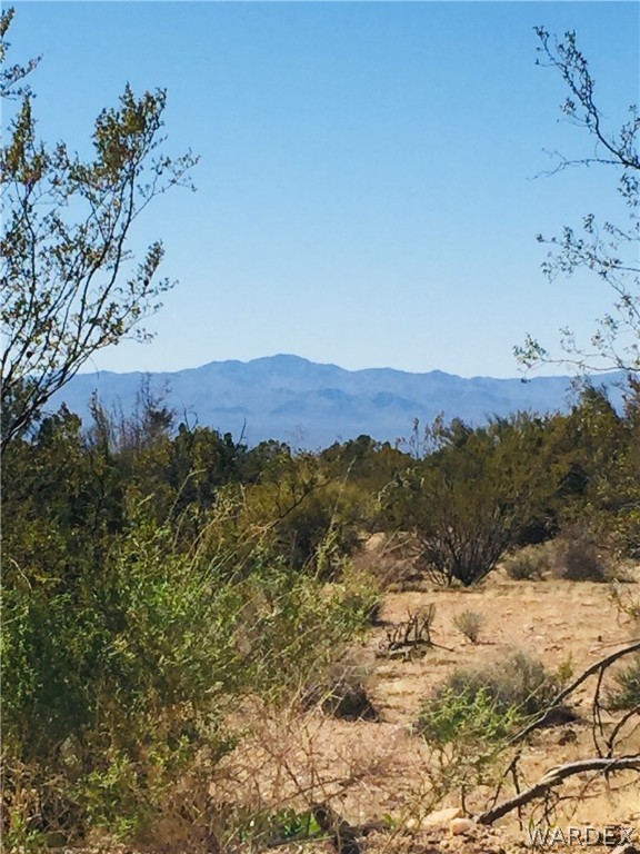 25 South Alamo Road Yucca, AZ 86438 - Photo 3 of 21 Gallery Image 3