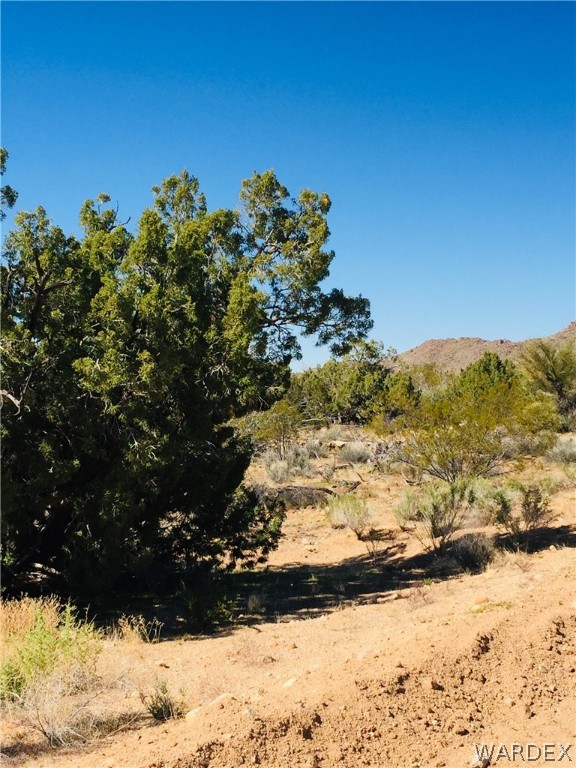25 South Alamo Road Yucca, AZ 86438 - Photo 6 of 21 Gallery Image 6