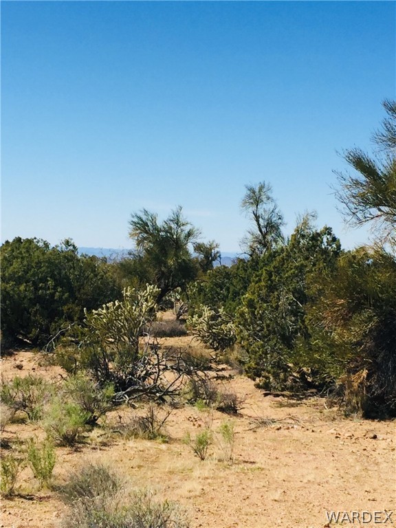 25 South Alamo Road Yucca, AZ 86438 - Photo 8 of 21 Gallery Image 8