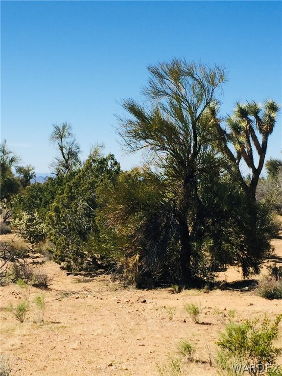 25 South Alamo Road Yucca, AZ 86438 - Photo 9 of 21 Gallery Image 9