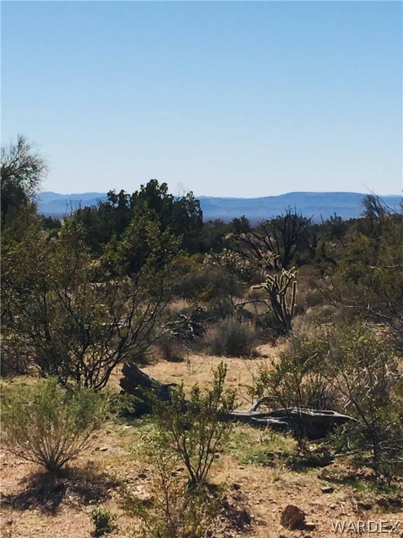 25 South Alamo Road Yucca, AZ 86438 - Photo 10 of 21 Gallery Image 10