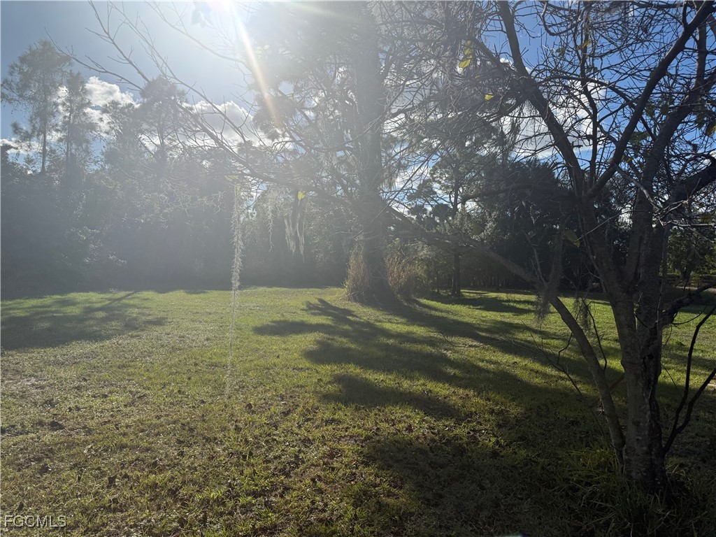 21219 North River Road Alva, FL 33920 - Photo 1 of 1 a view of a tree in a yard
