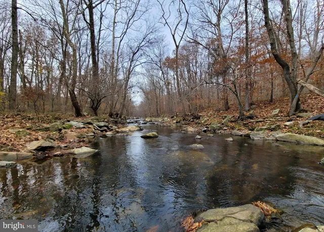 a view of water with large trees