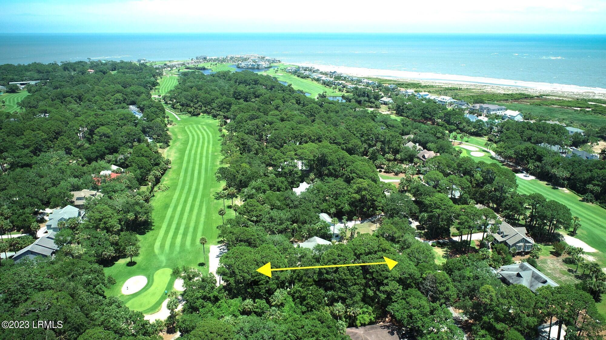 646 Dolphin on the Golf Course