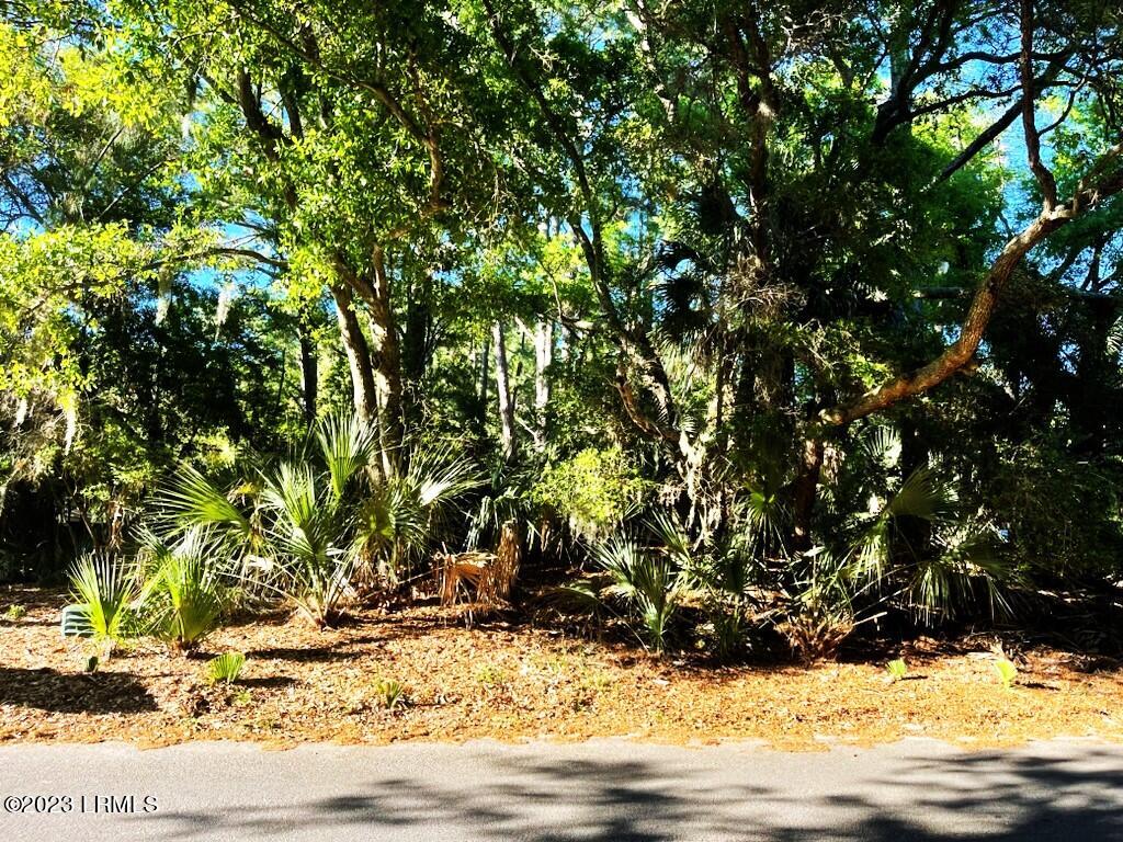 646 Dolphin Road