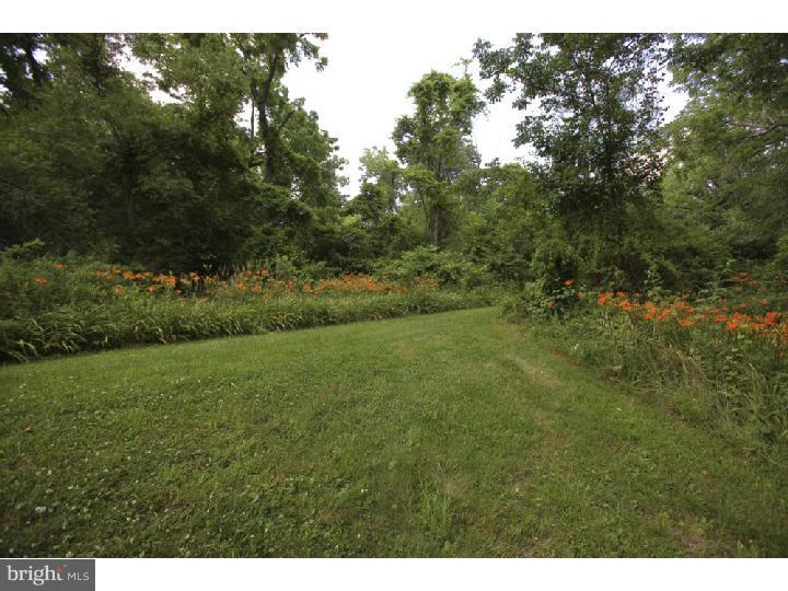 1301 West Rock Road Perkasie, PA 18944 - Photo 20 of 23 Side Yard