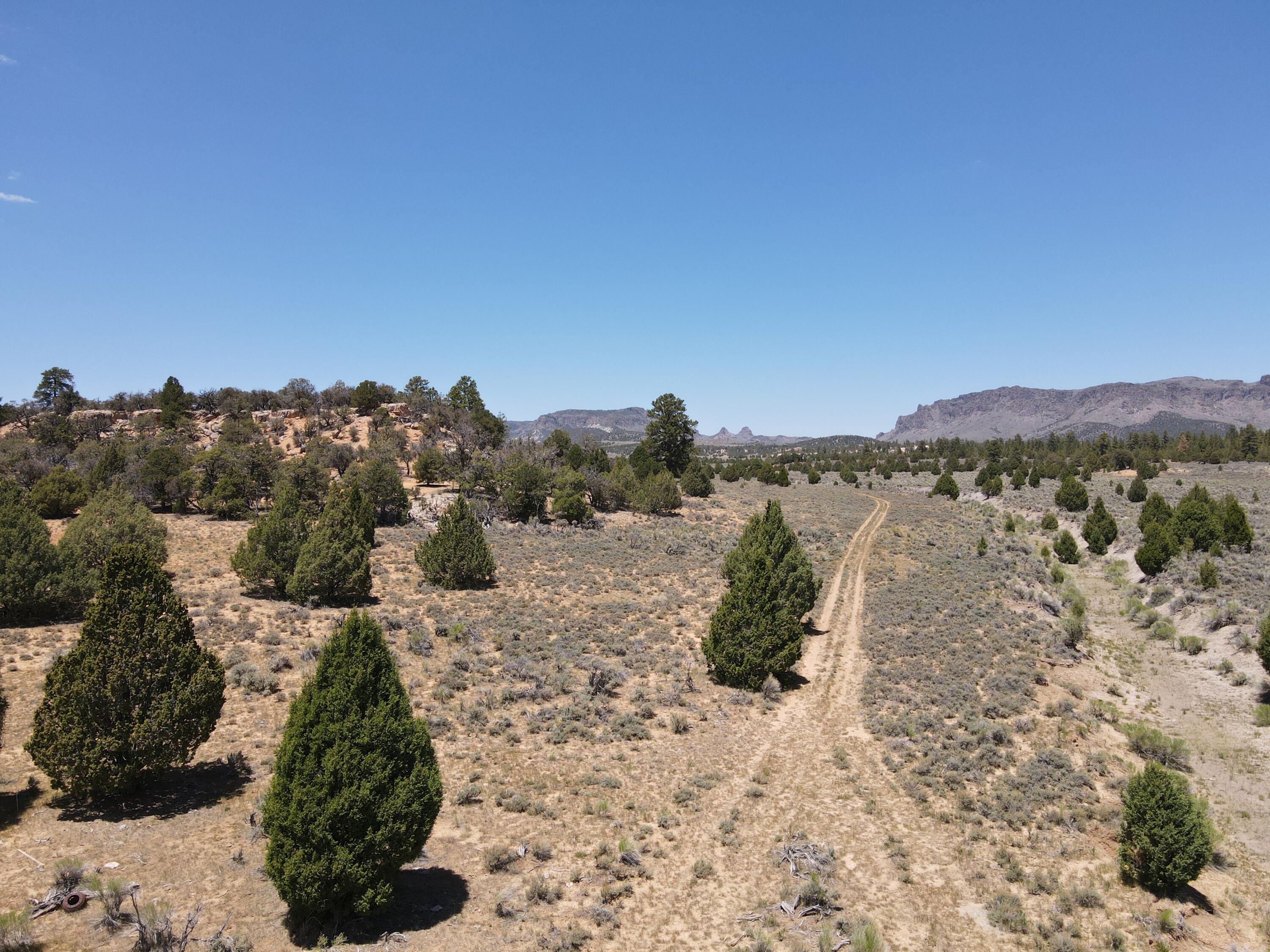 159 Acres Tom Best Springs Road Bryce, UT 84764 - Photo 8 of 9 DJI_0251
