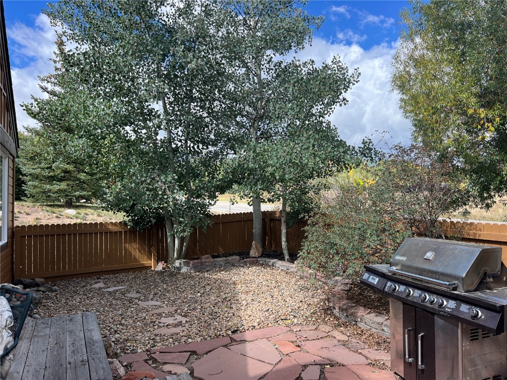 147 Blue Grouse Lane Silverthorne, CO 80498 - Photo 9 of 50 a backyard of a house with lots of green space