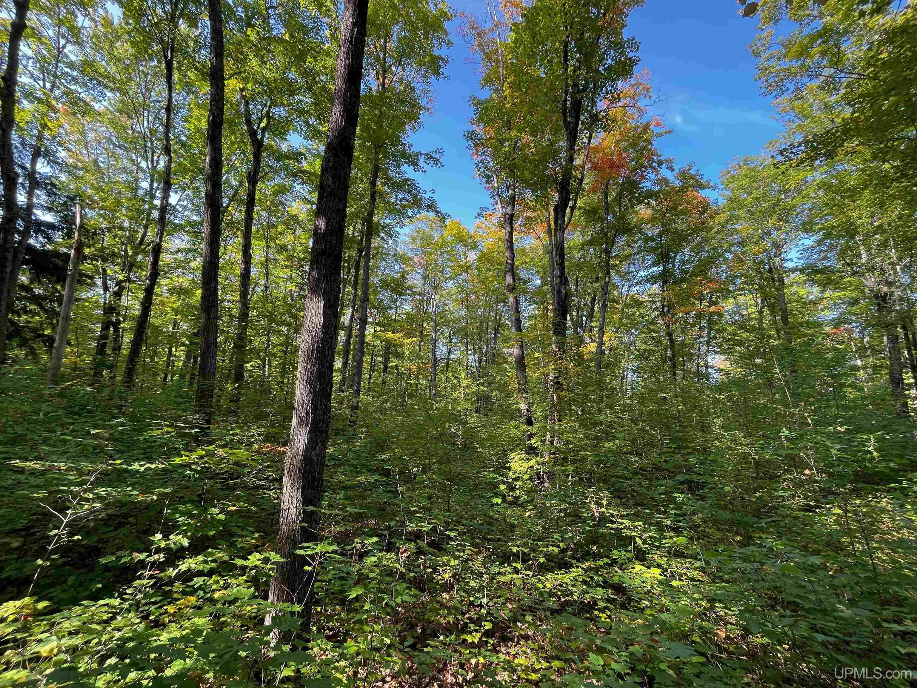 Tbda Worham Road Chassell, MI 49916 - Photo 16 of 28