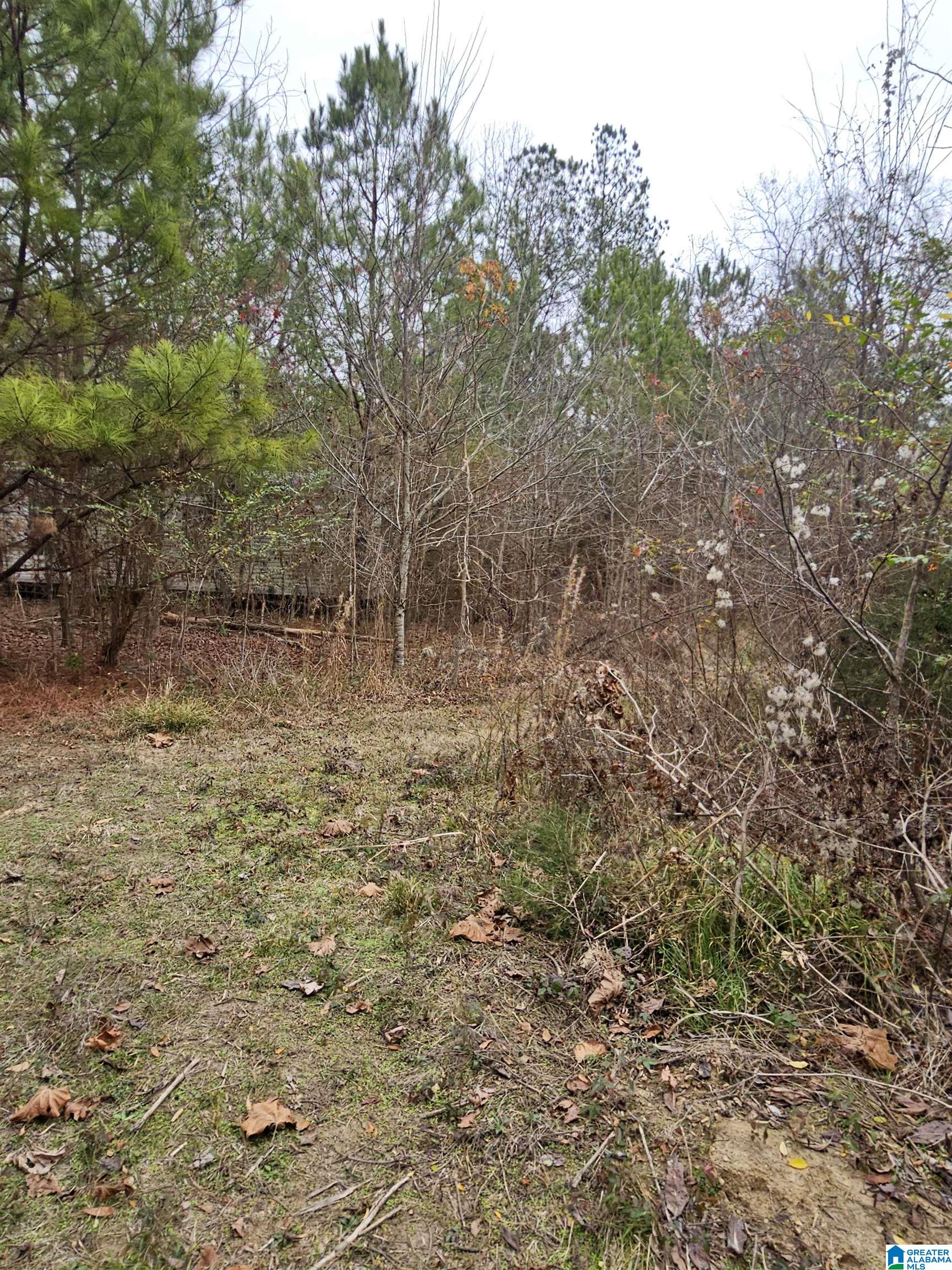0 County Road 724 Calera, AL 35040 - Photo 12 of 18