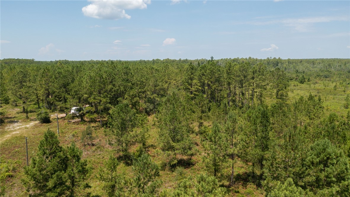 0 Old Post Road Hortense, GA 31543 - Photo 11 of 11