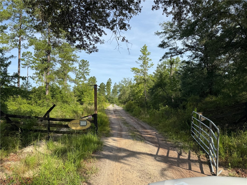 0 Old Post Road Hortense, GA 31543 - Photo 3 of 11