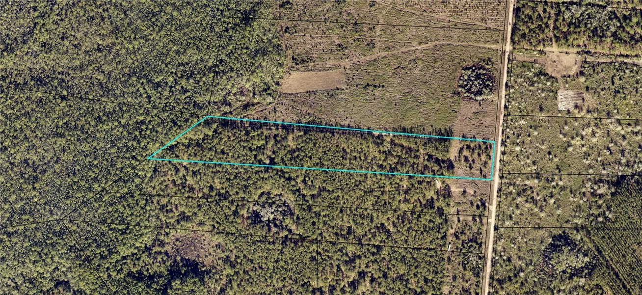 0 Old Post Road Hortense, GA 31543 - Photo 4 of 11