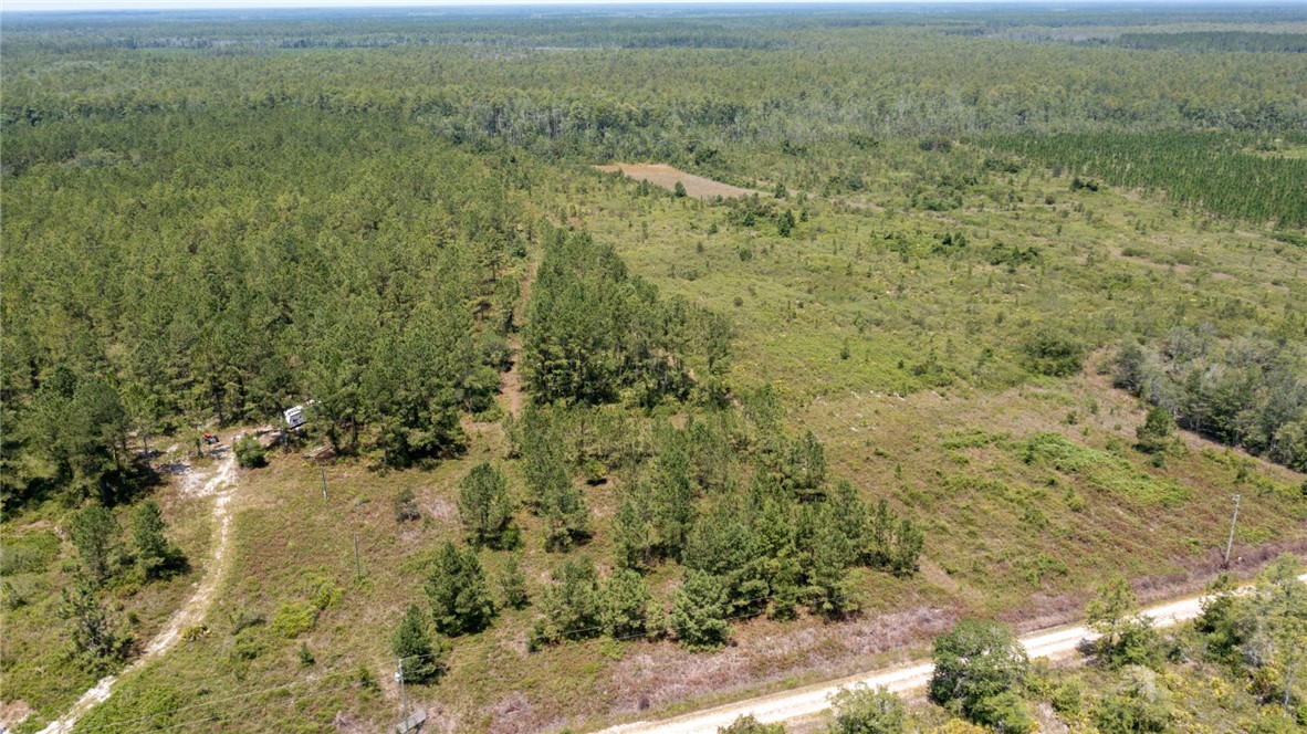 0 Old Post Road Hortense, GA 31543 - Photo 5 of 11