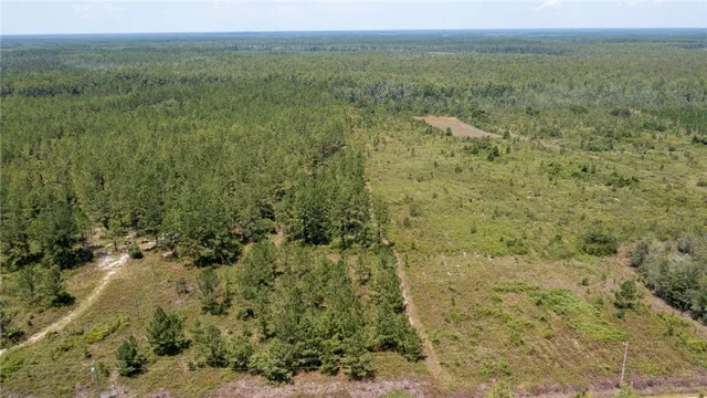 $89,900 | 0 Old Post Road, Hortense, GA 31543