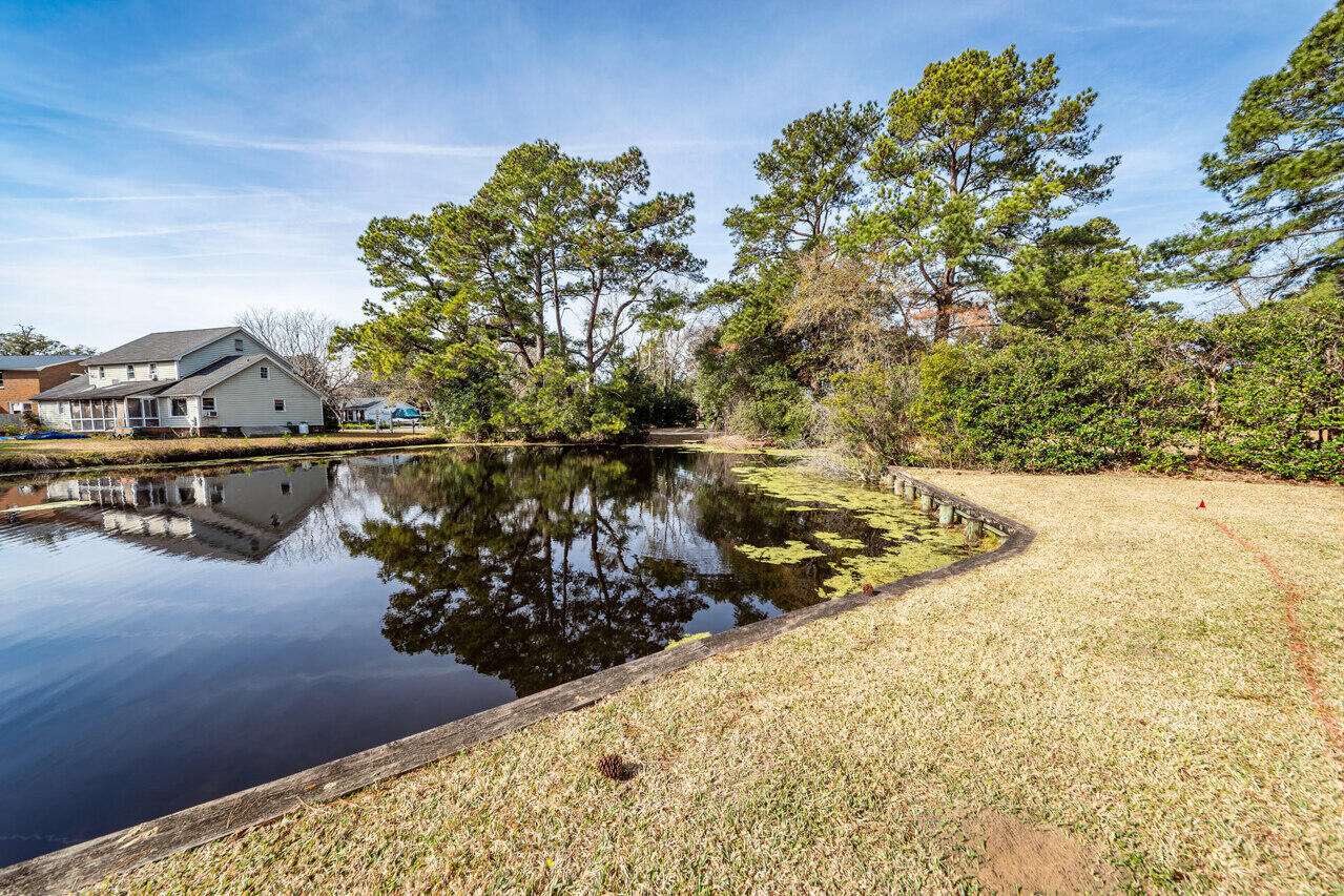 705 Chatter Road Mount Pleasant, SC 29464 - Photo 61 of 78 64